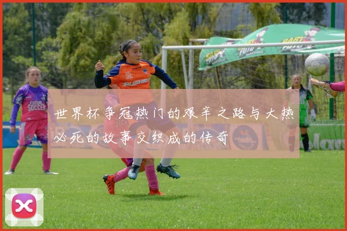 世界杯争冠热门的艰辛之路与大热必死的故事交织成的传奇